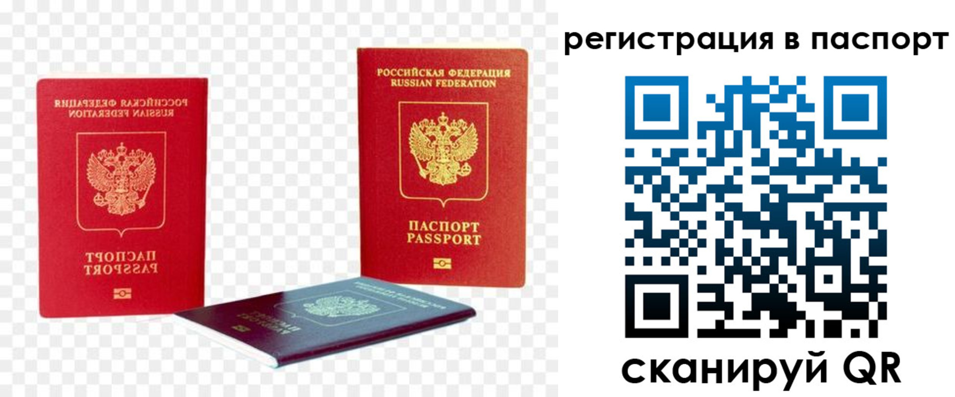 прописка для работы в Бийске
